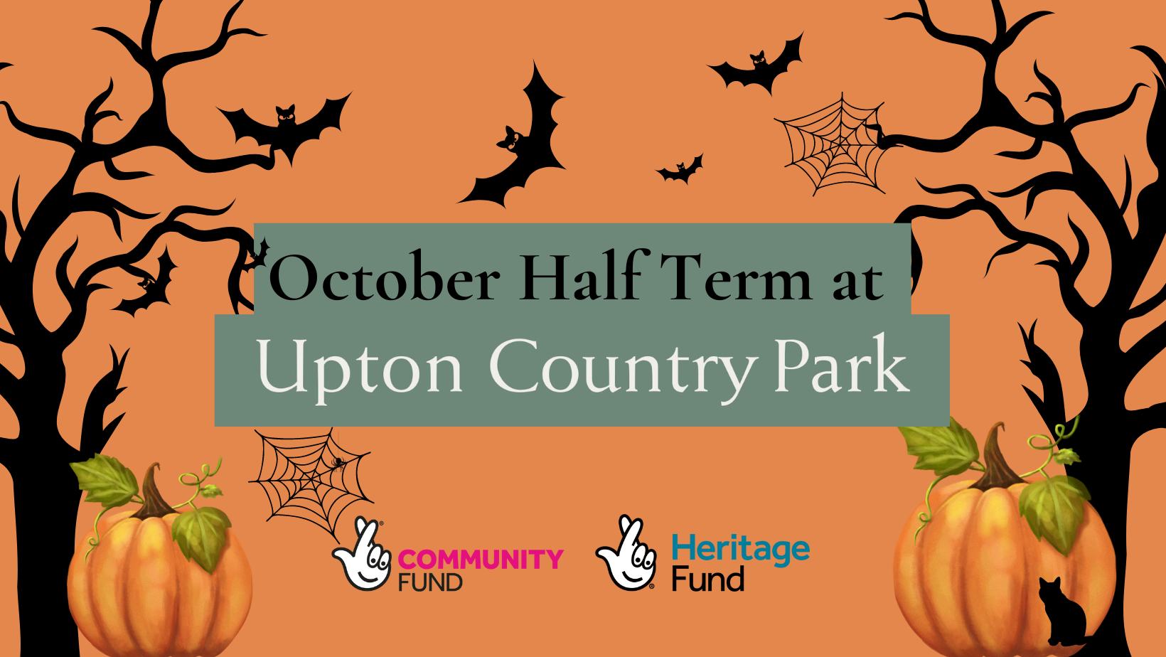 what-s-on-october-half-term-activities-in-nottinghamshire-2022-ymca